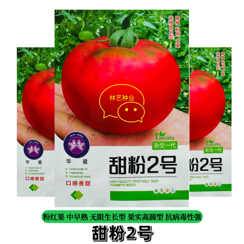 甜粉2号水果番茄种子超甜西红柿种籽正宗大果粉红番茄