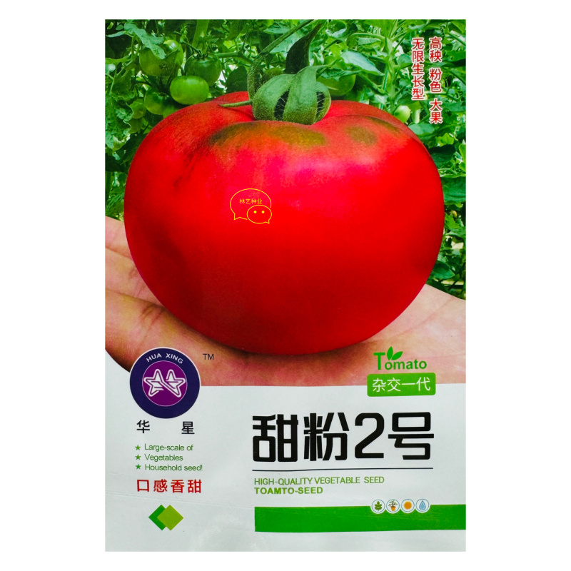 甜粉2号水果番茄种子超甜西红柿种籽正宗大果粉红番茄