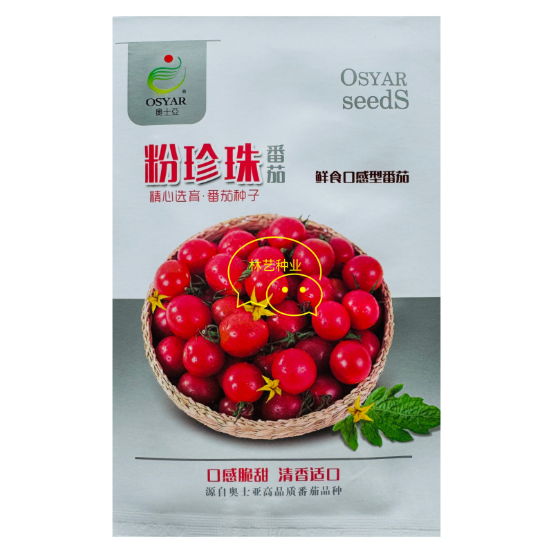 粉珍珠圣女果小番茄种子小西红柿春季大田四季阳台盆栽水果种
