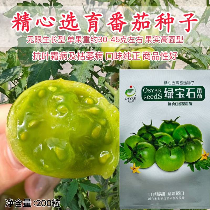 奥士亚绿宝石小番茄种子高糖口感型绿色贼不偷小樱桃西红柿