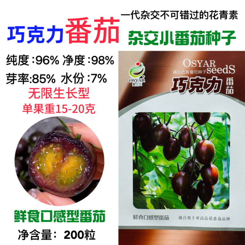 奥士亚巧克力番茄种子无限生长咖啡色小西红柿种籽樱桃小番茄
