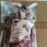 各种香料/小包装、肉蔻、丁香、桂皮、陈皮等产品
