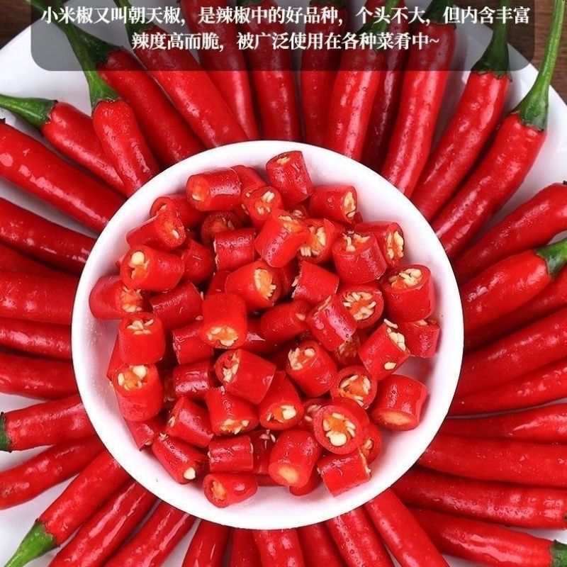 云南小米椒辣椒产地直供一件代发市场批发