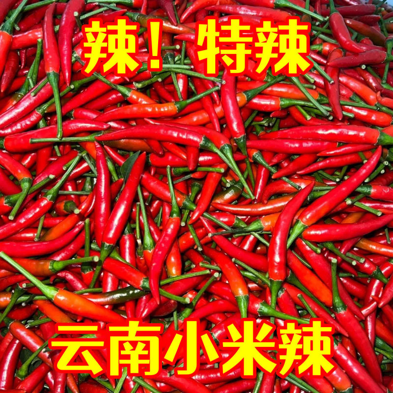 云南小米椒辣椒产地直供一件代发市场批发