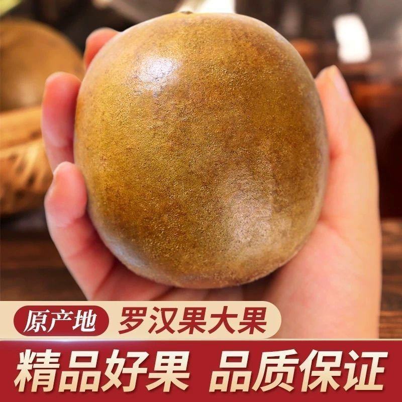 【大果】广西桂林精品罗汉果独立包装质量保证产区直发高品质