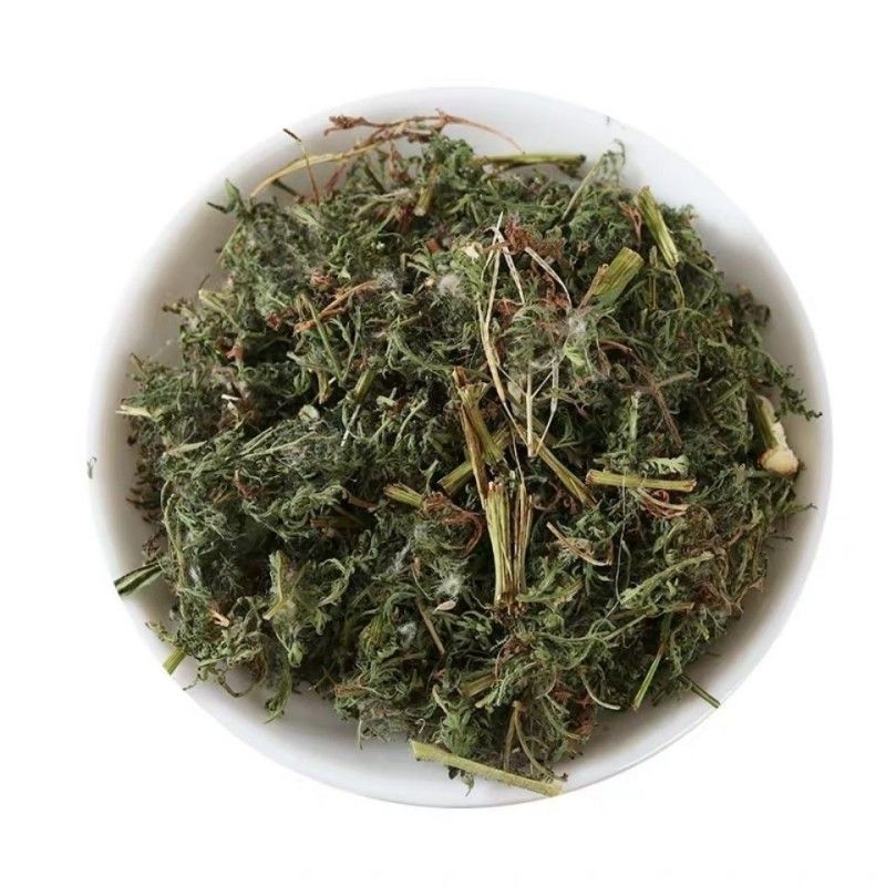中草药青蒿青蒿草桐臭蒿子草蒿黑蒿臭蒿苦蒿天