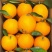 江西赣橙🍊