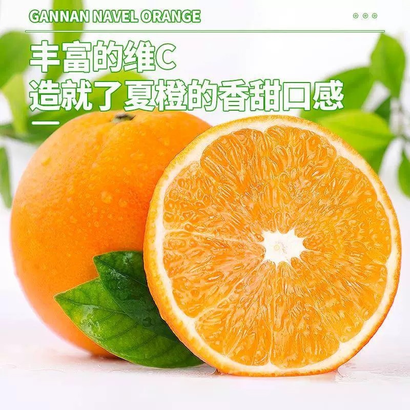 江西赣橙🍊