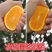 江西赣橙🍊