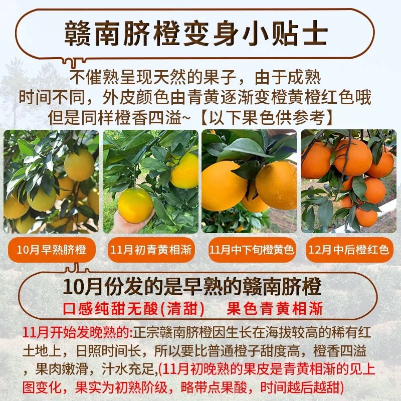 江西赣橙🍊
