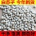 药材白苏子农家自产白苏子籽玉苏子鸟食鸟粮生苏子