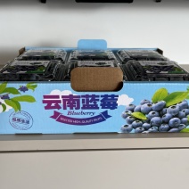 云南L25花香蓝莓上市基地直供