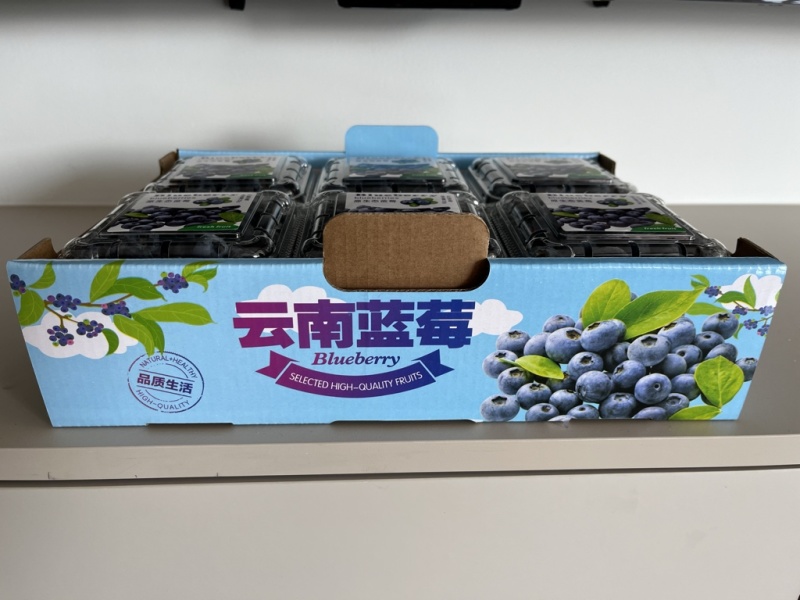 云南L25花香蓝莓上市基地直供