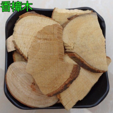 中药材樟树木樟树木根樟木香樟树香樟木药用香樟