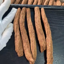 贵州剪尾黄党