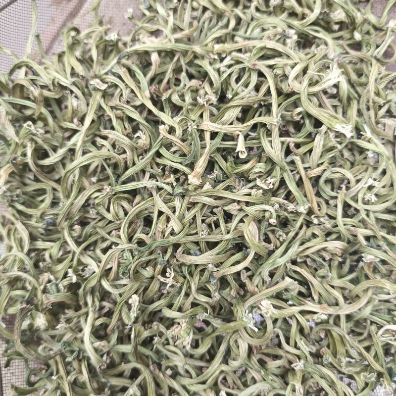 甜瓜蒂中药材苦丁香香瓜蒂正品新货甜瓜蒂粉苦丁香甜瓜