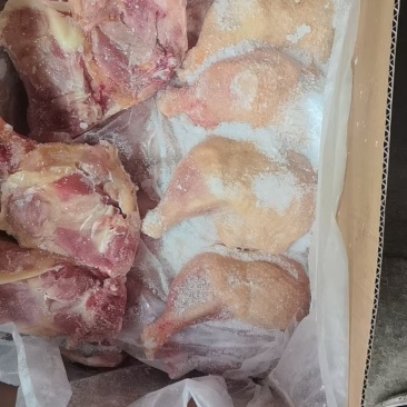 老鸡排腿