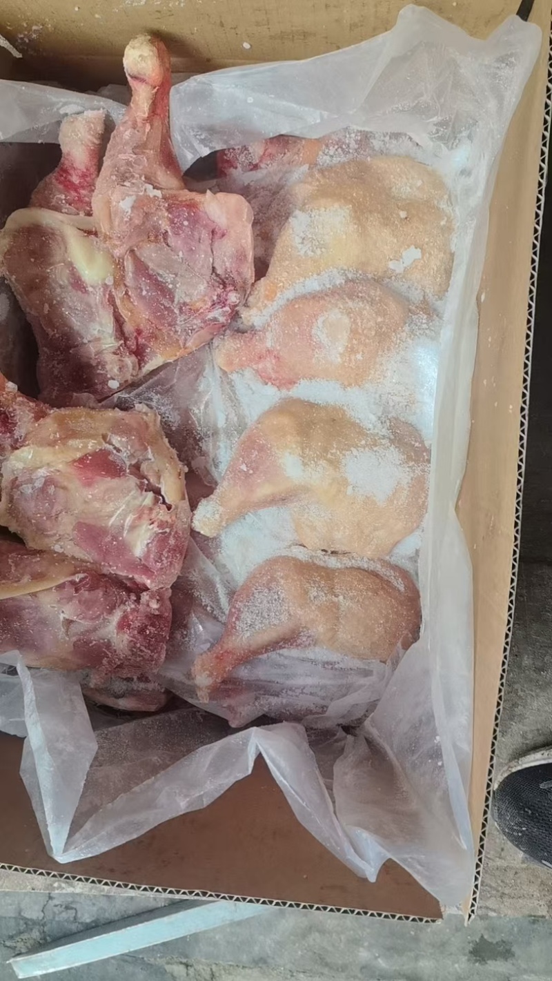 老鸡排腿