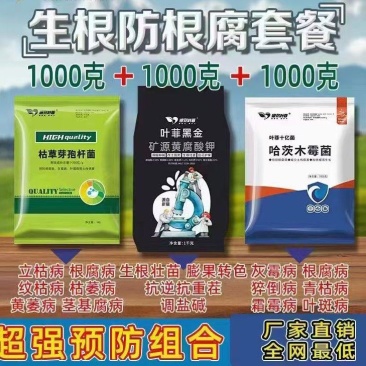 防根腐重茬死颗烂苗
