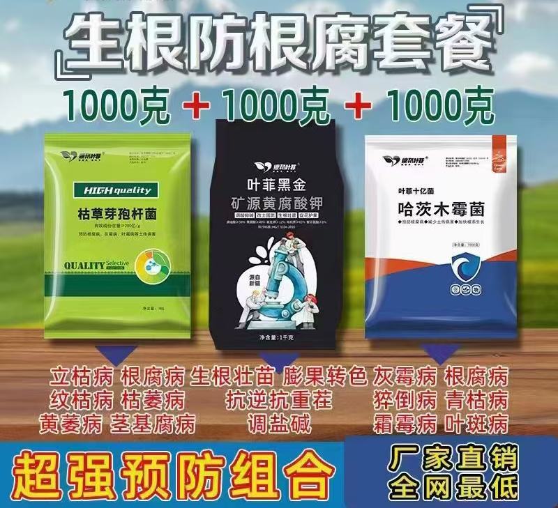 防根腐重茬死颗烂苗