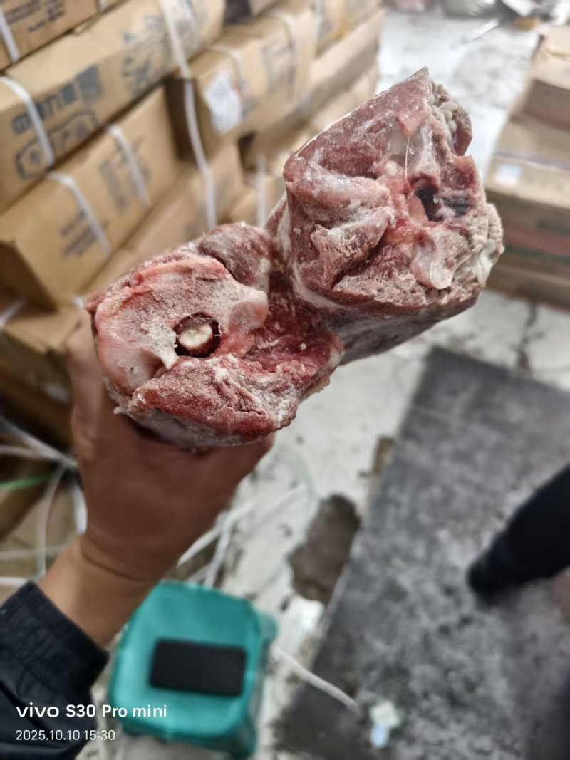 满肉羊脖骨