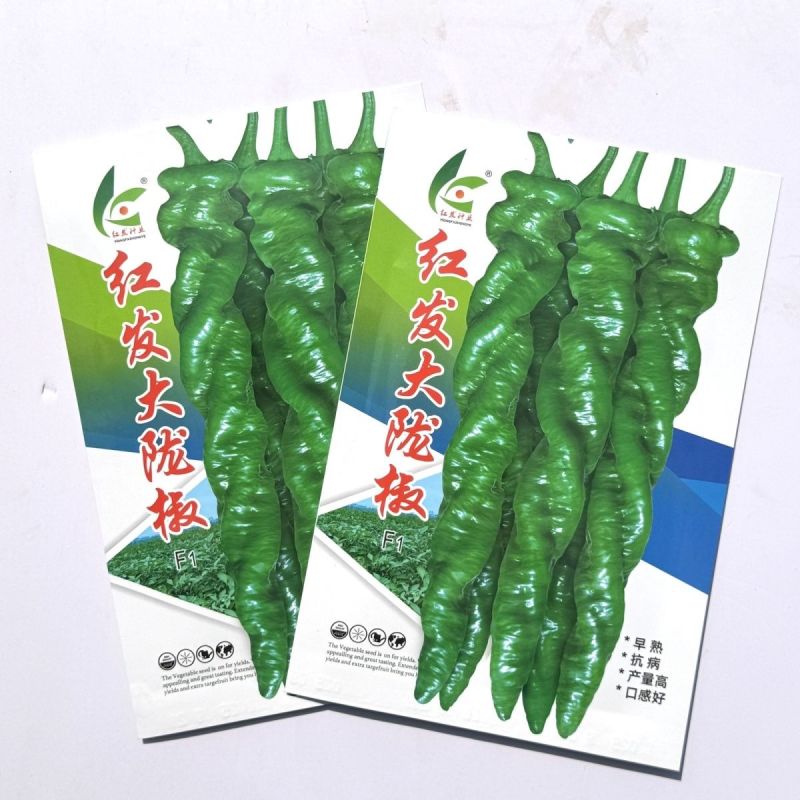 红发大陇椒香辣螺丝陇椒种子早熟大果辣椒螺旋长椒正品高产螺