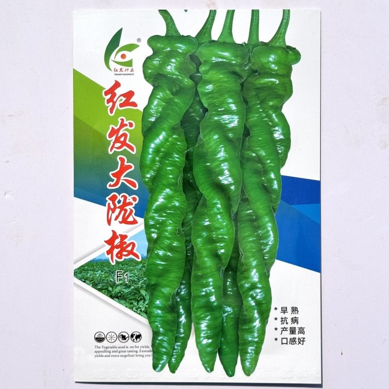红发大陇椒香辣螺丝陇椒种子早熟大果辣椒螺旋长椒正品高产螺