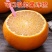 四川爱媛果冻橙38号大量现货供应电商一件代发多多快手抖音