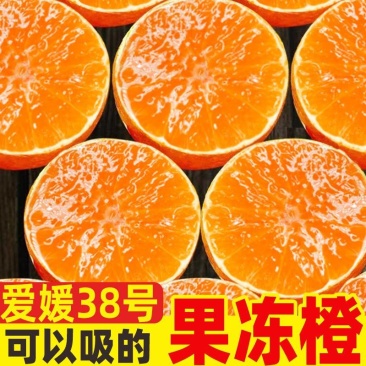 四川爱媛果冻橙大量现货供应支持电商一件代发社区团购
