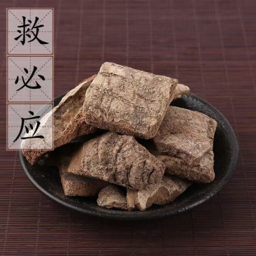 救必应救必应白木香米碎木求必应中药材优质新货厚救必应