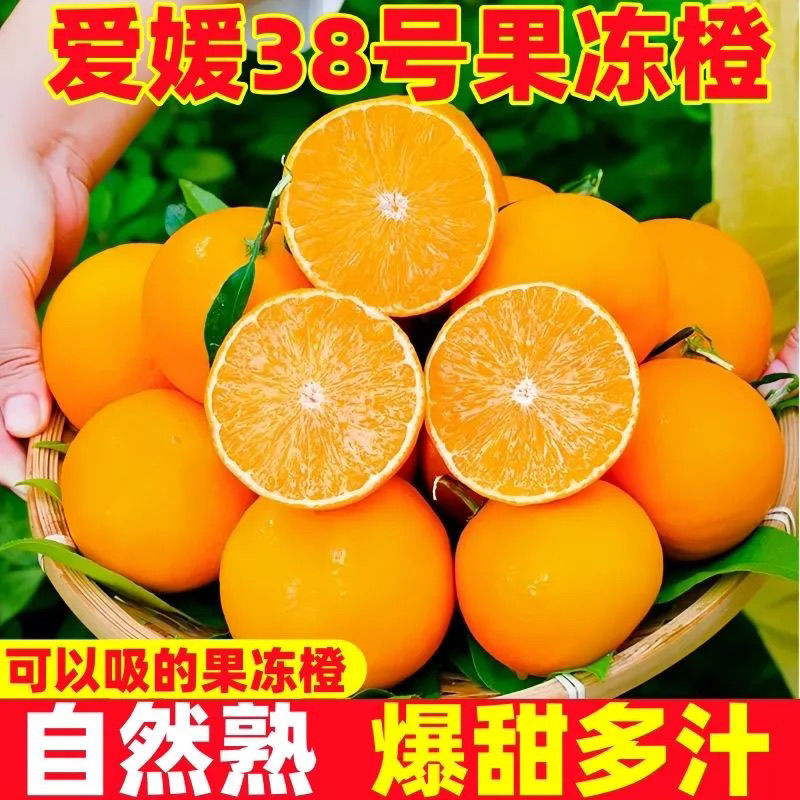 四川爱媛果冻橙大量现货供应支持电商一件代发社区团购