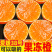四川爱媛果冻橙大量现货供应支持电商一件代发社区团购