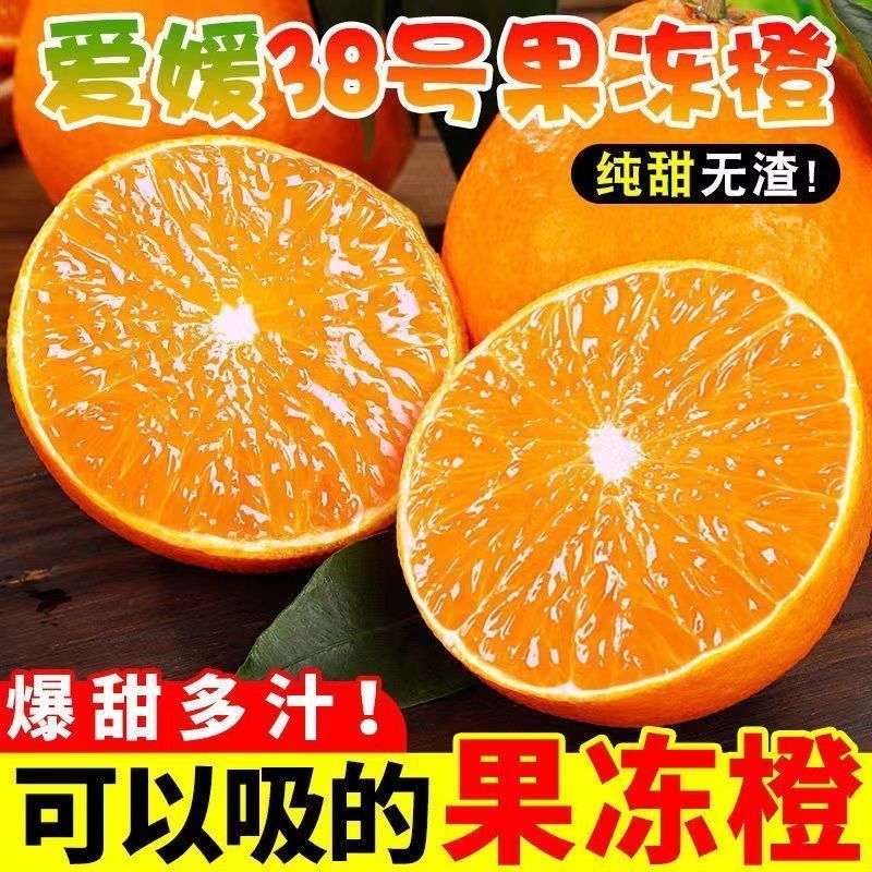 四川爱媛果冻橙大量现货供应支持电商一件代发社区团购