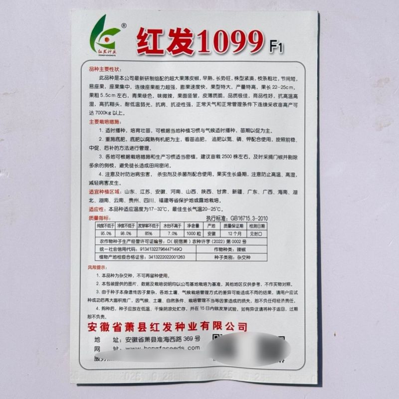 红发1099超大果薄皮椒种子早熟青椒薄皮微辣泡椒高产抗病