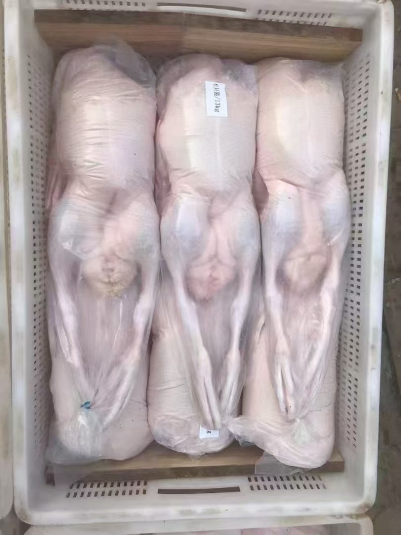 雁鹅，白条鹅，全雁鹅散养，全年供应，