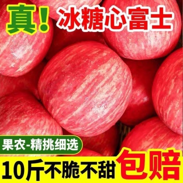 电商一件代发宁夏中宁大漠冰糖心富士苹果