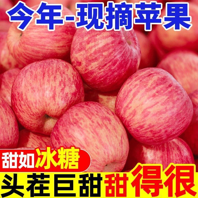 电商一件代发宁夏中宁大漠冰糖心富士苹果