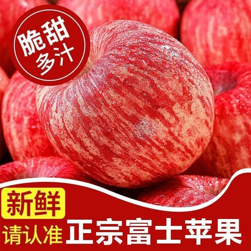 电商一件代发宁夏中宁大漠冰糖心富士苹果