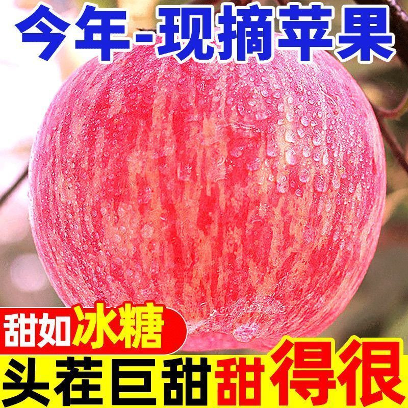 电商一件代发宁夏中宁大漠冰糖心富士苹果