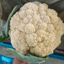有机花菜