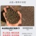 黄花槐种子园林绿化植物荒坡复绿水土保持固土护坡林木灌木树