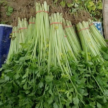 香芹