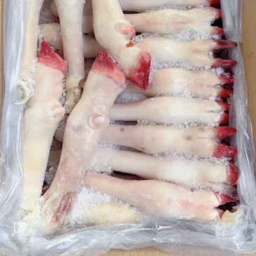 白羊蹄