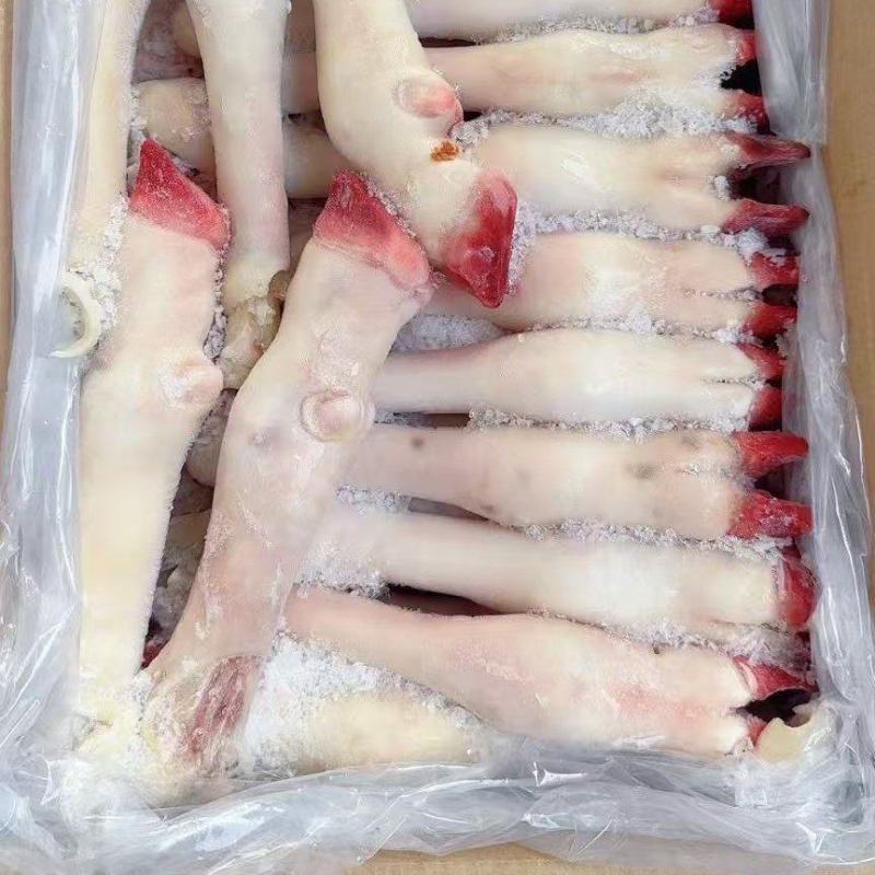 白羊蹄