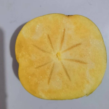 太秋甜柿