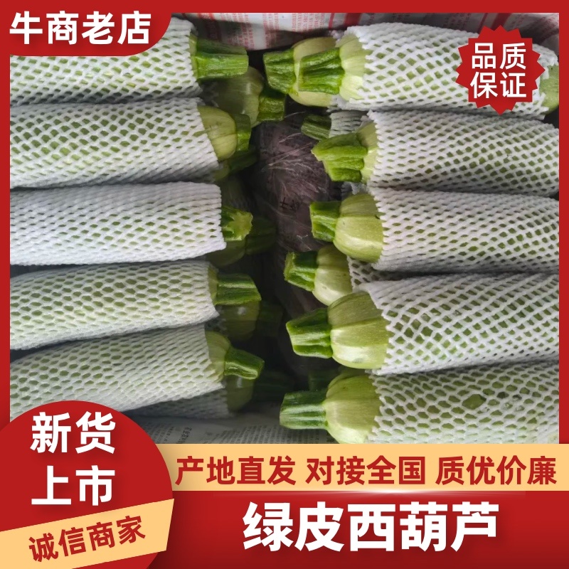 【实力推荐】云南绿皮西葫芦产地直销量大从优可对接全国市场