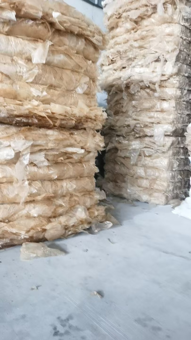 杏鲍菇袋皮厂家直发质量保证可视频看货欢迎咨询