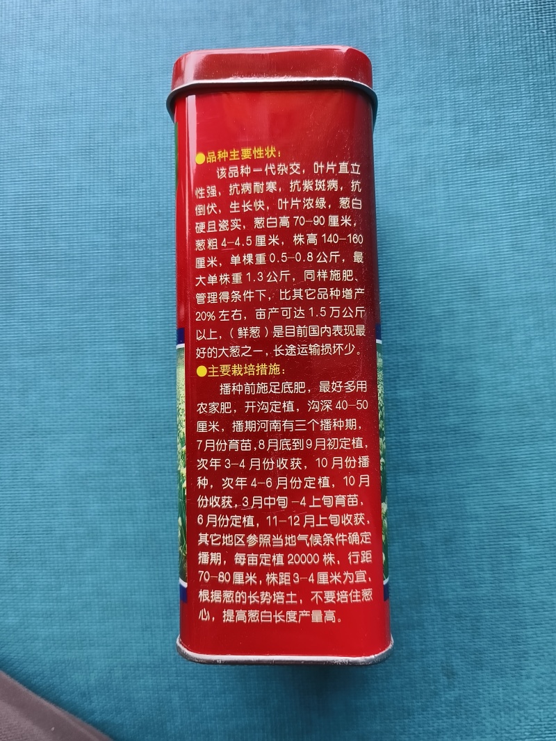 铁杆葱杂交品种抗病耐寒葱白硬且瓷实叶片直立、