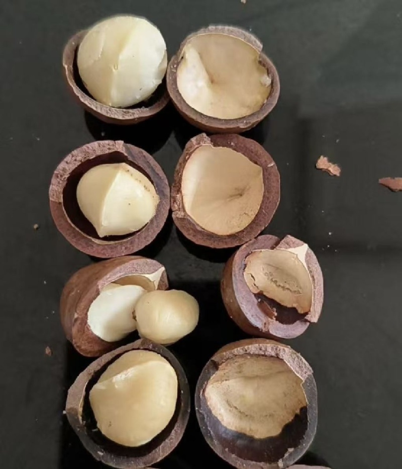 夏威夷果电商一件代发有量你就来