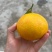 【现摘现发】四川眉山爱媛38号新鲜上市产地直供欢迎来电